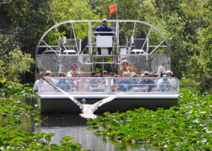 Everglades Tour Miami Florida